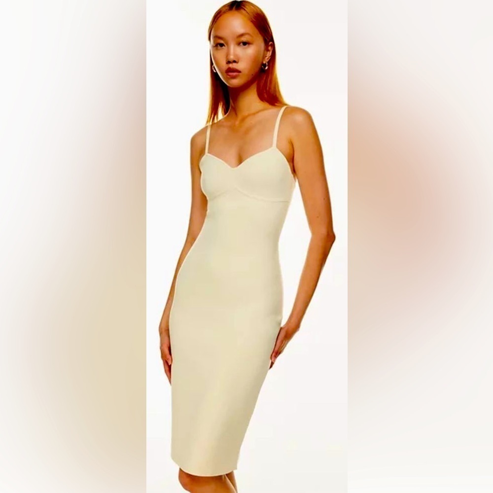 BABATON Sz M by Aritzia  Lariat Bodycon Bustier in the Colour Birch Dress NEW